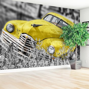 Fototapeta - samochód, klasyk, trawa