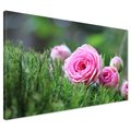 Obraz na płótnie - róże, kwiaty, natura