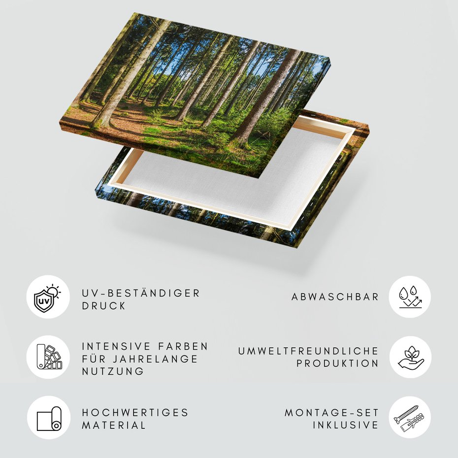 Obraz na płótnie - las, drzewa, natura