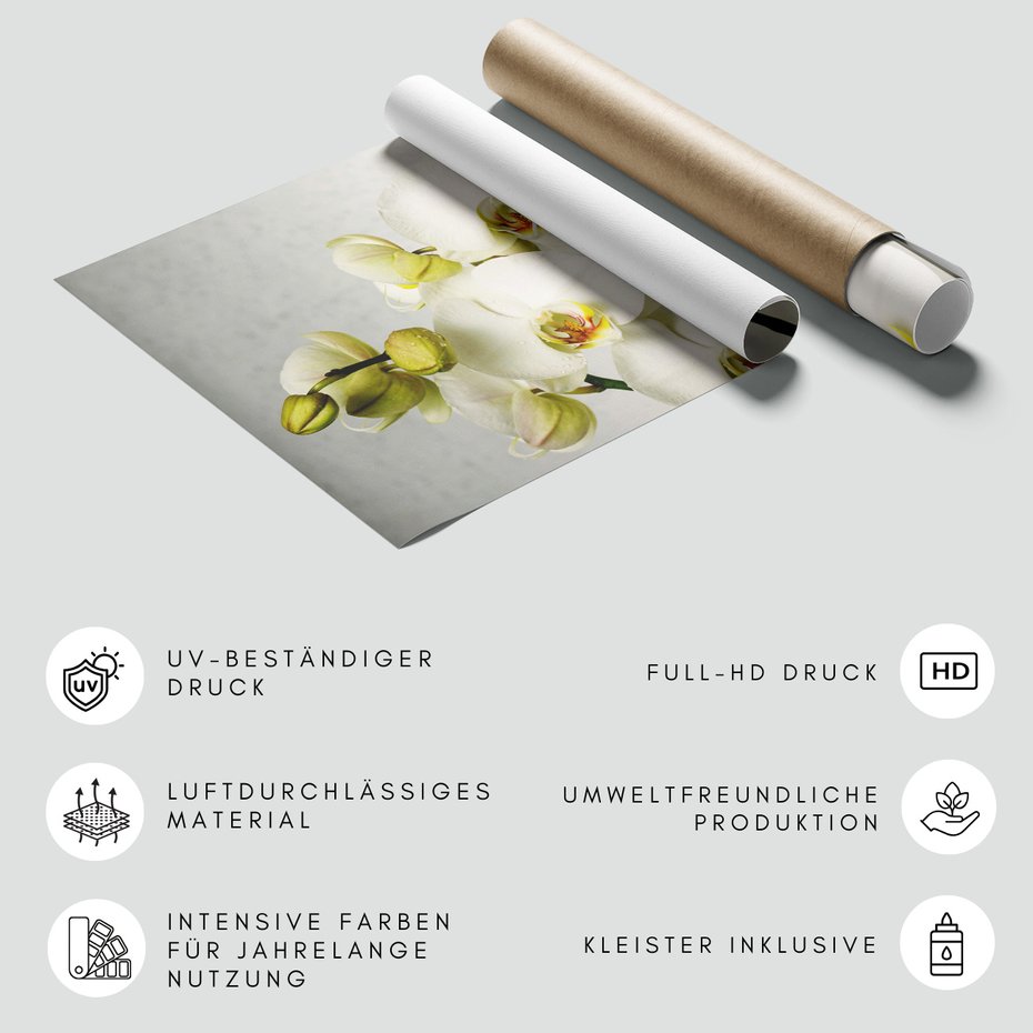 Fototapeta - orchidee, kwiaty, białe