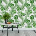 Tapeta - liście, monstera, palmy