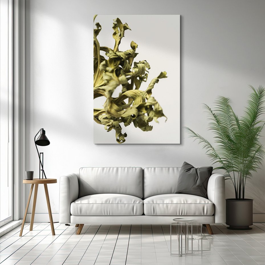 Obraz na płótnie - liście, suche, roślina