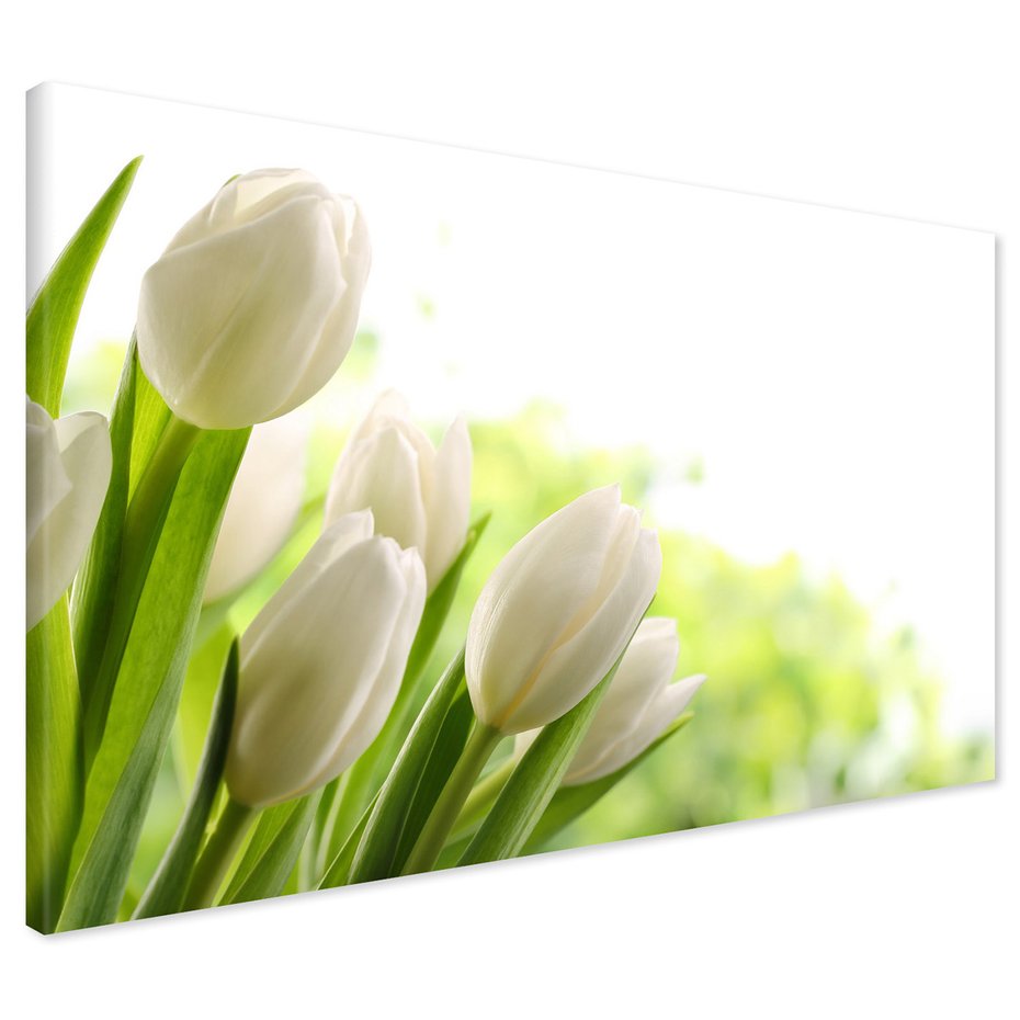 Obraz na płótnie - tulipany, kwiaty, wiosna