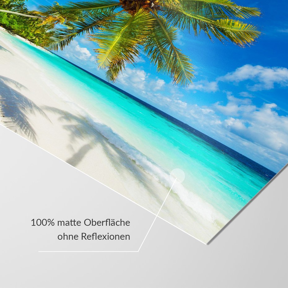 Fototapeta - palmy, plaża, morze