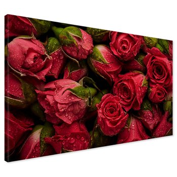 Obraz na płótnie - róże, kwiaty, czerwony
