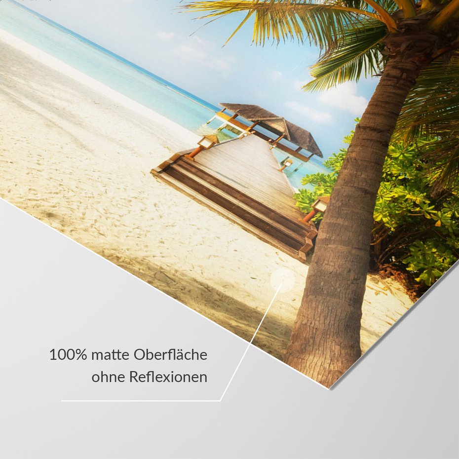 Fototapeta - plaża, palmy, morze