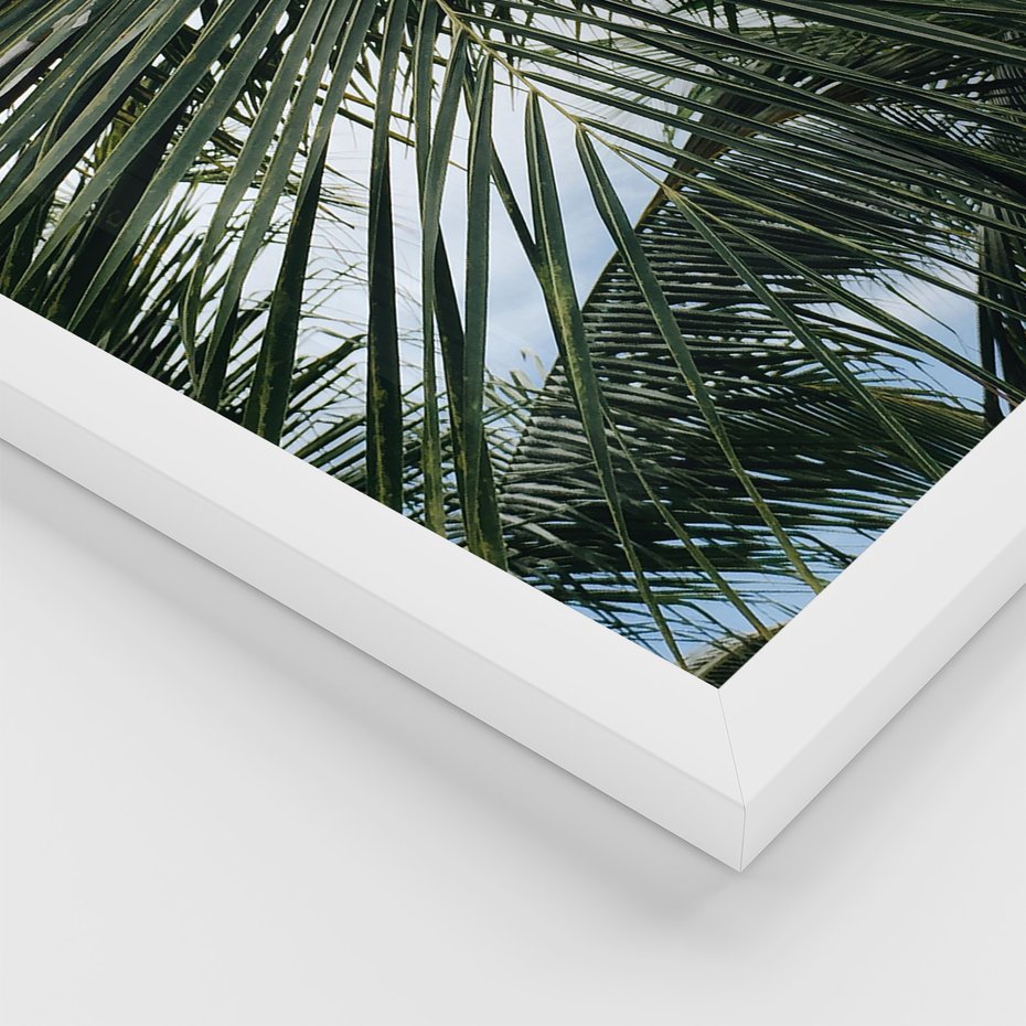Zestaw obrazy w ramie, plakaty - liście,palmy,tropikalne - rama biała
