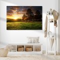 Obraz na płótnie - zachód słońca, trawa, drzewa
