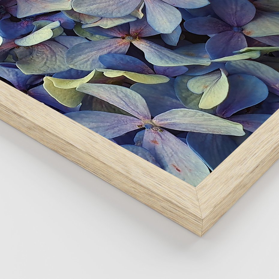 Zestaw obrazy w ramie, plakaty - kwiaty, hortensje, suszone kwiaty - rama drewno