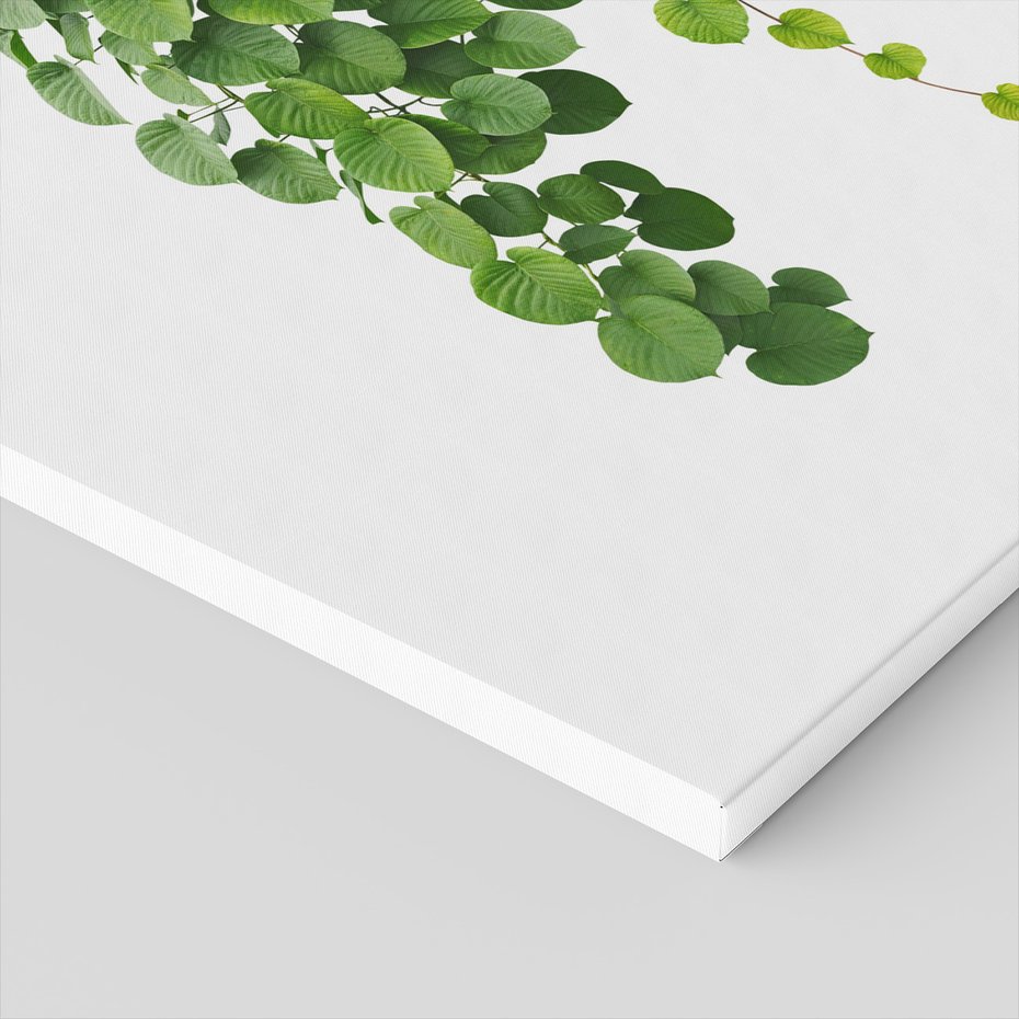 Obraz na płótnie - liście, zielony, roślina