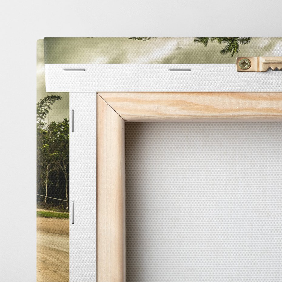 Obraz na płótnie - samochód, vintage, natura