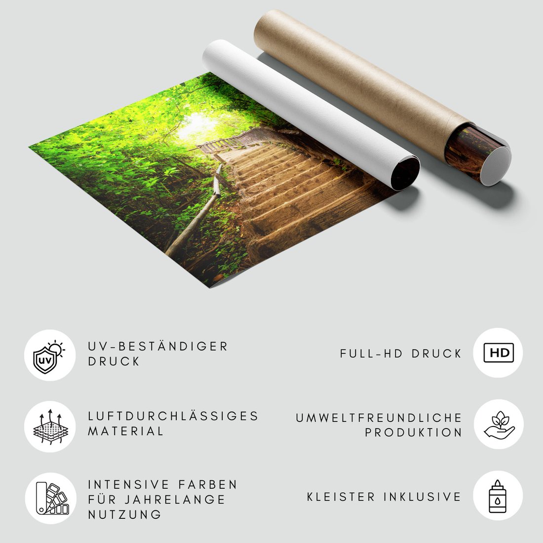 Fototapeta - las, schody, natura