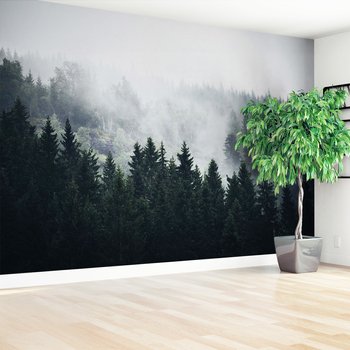 Fototapeta - las, mgła, drzewa