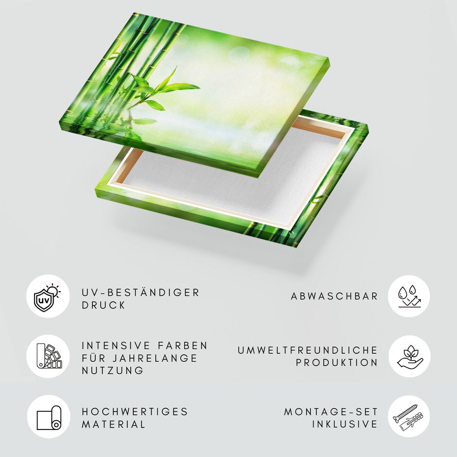 Obraz na płótnie - bambus, woda, liście