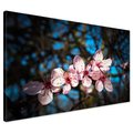 Obraz na płótnie - kwiaty, wiosna, natura