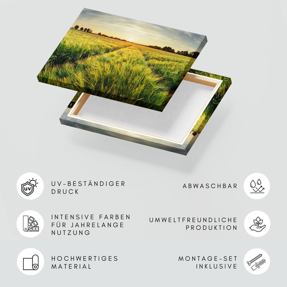 Obraz na płótnie - pole, zboże, lato