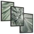 Zestaw obrazy w ramie, plakaty - liście palmowe, rośliny, natura - rama czarna