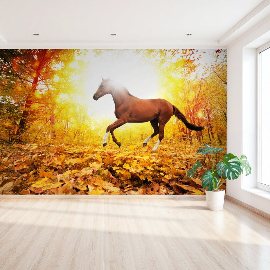 Fototapeta - koń, las, jesień