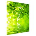 Obraz na płótnie - liście, woda, zieleń