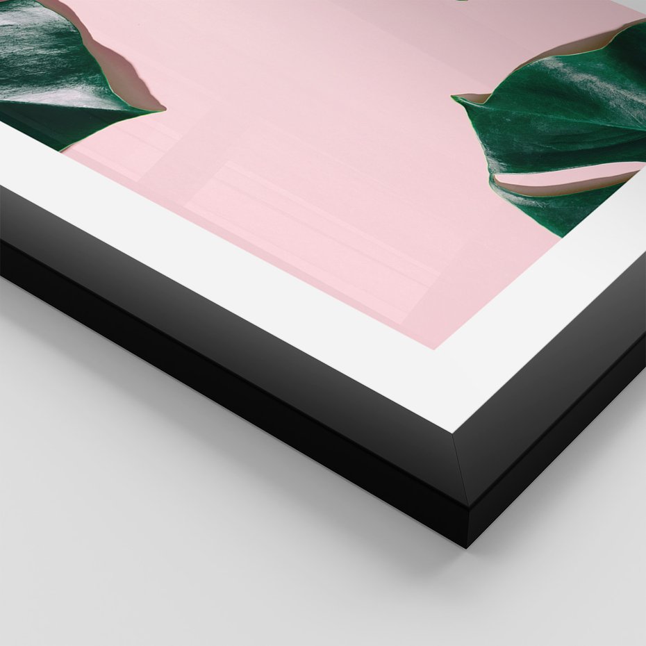 Zestaw obrazy w ramie, plakaty - monstera, liście, roślina - rama czarna