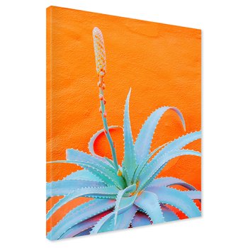 Obraz na płótnie - aloe, roślina, pomarańczowy