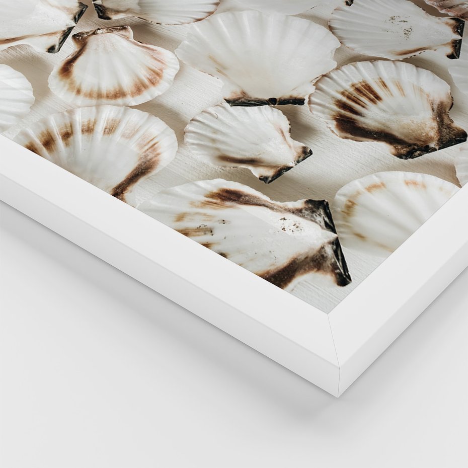 Zestaw obrazy w ramie, plakaty - muszle, plaża, woda - rama biała