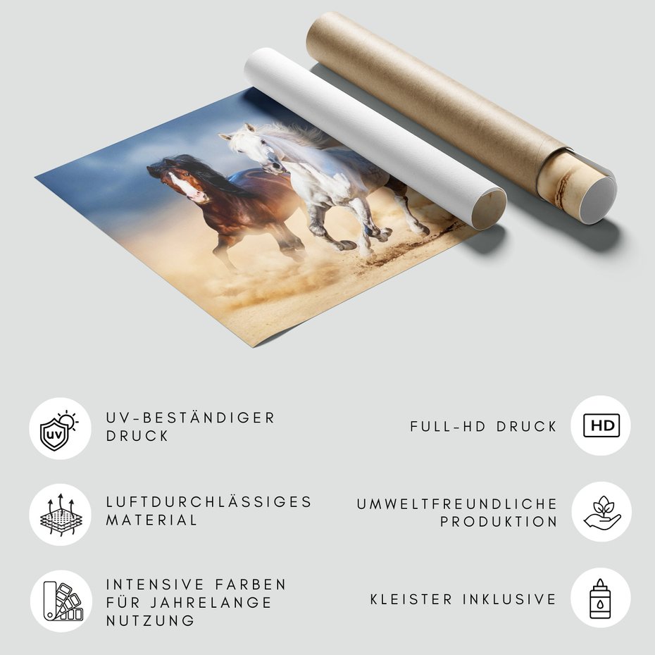 Fototapeta - konie, galop, pustynia