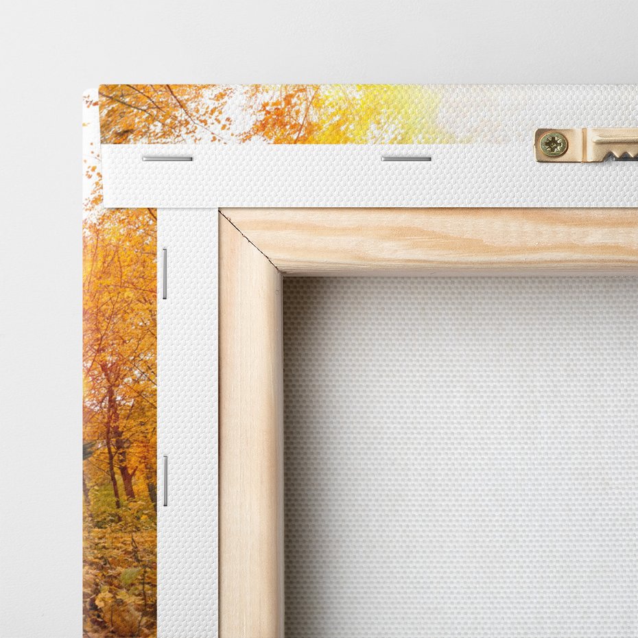 Obraz na płótnie - koń, jesień, las