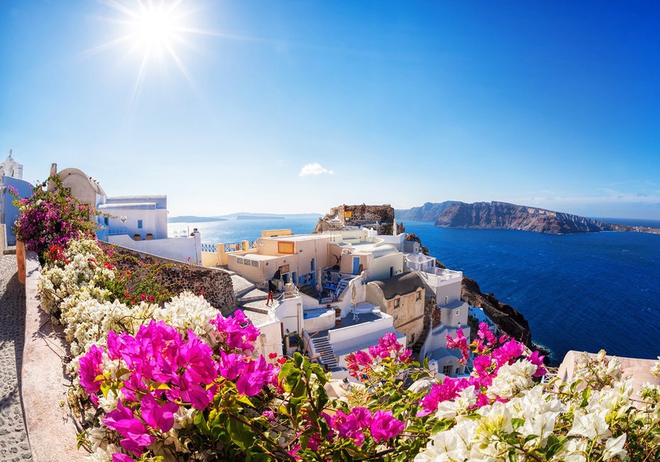 Fototapeta - Santorini, Grecja, kwiaty