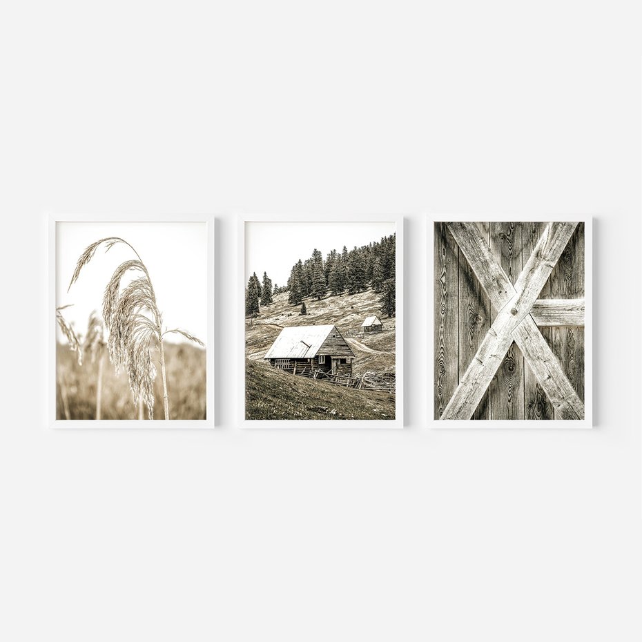 Zestaw obrazy w ramie, plakaty - natura, drewno, wieś - rama biała