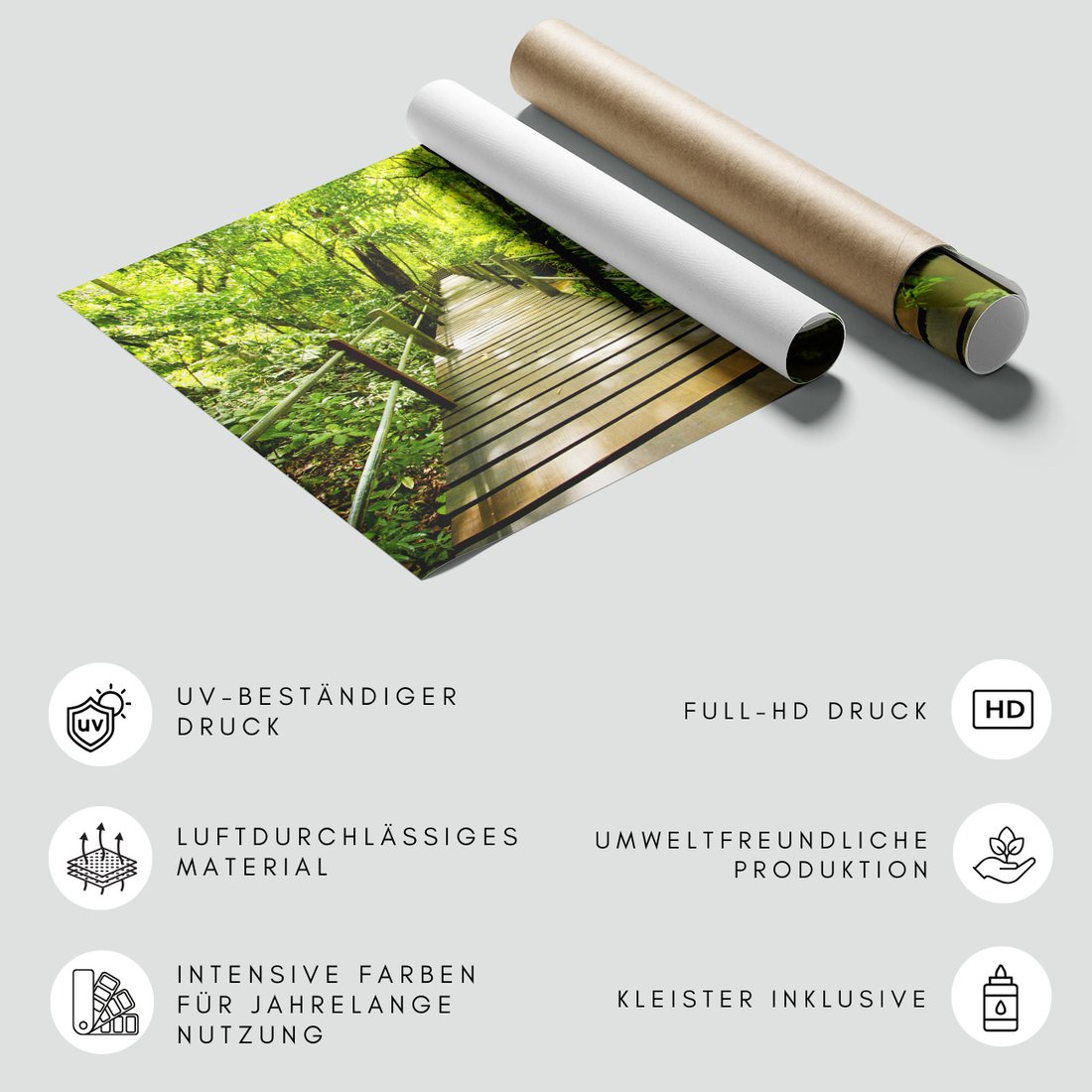 Fototapeta - las, most, natura