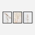 Zestaw obrazy w ramie, plakaty - bawełna, gałązki, delikatny - rama czarna
