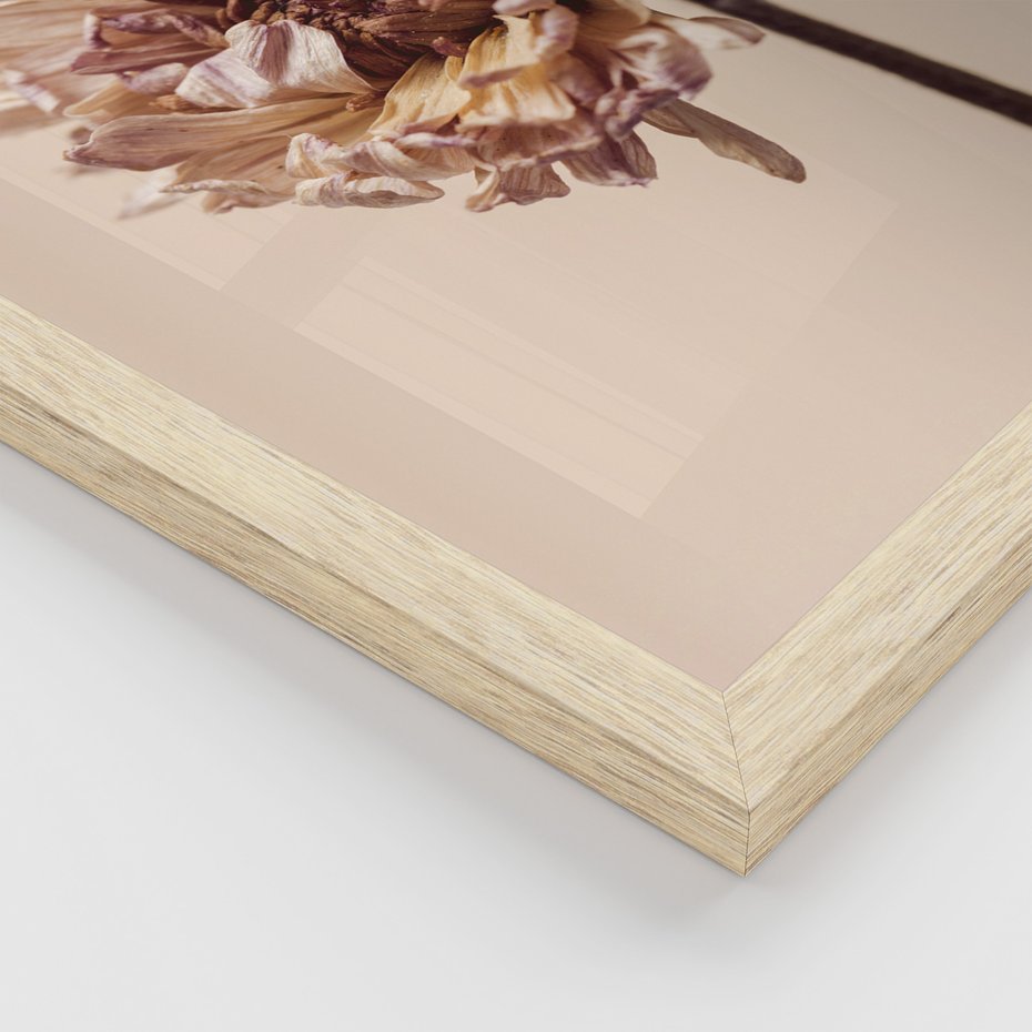 Zestaw obrazy w ramie, plakaty - kwiaty, suche, więdnięcie - rama drewno