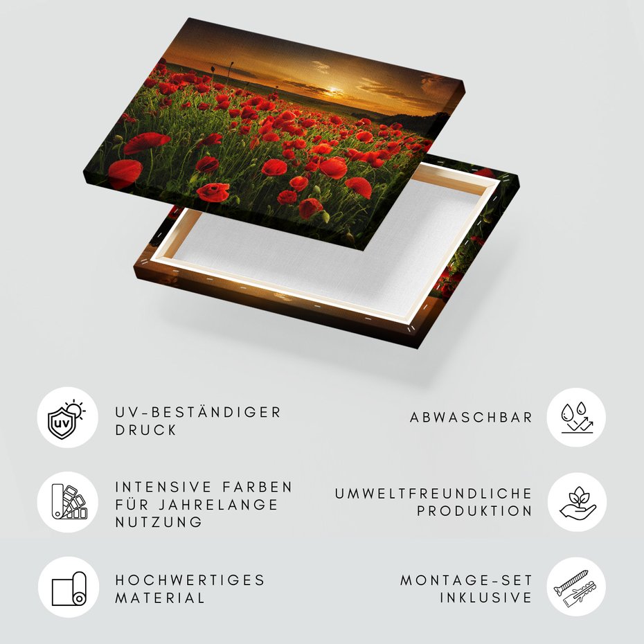 Obraz na płótnie - maki, pole, zachód słońca