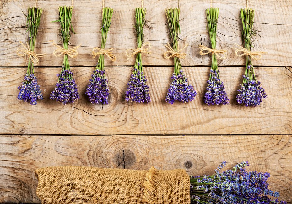 Fototapeta - lawenda, kwiaty, drewno