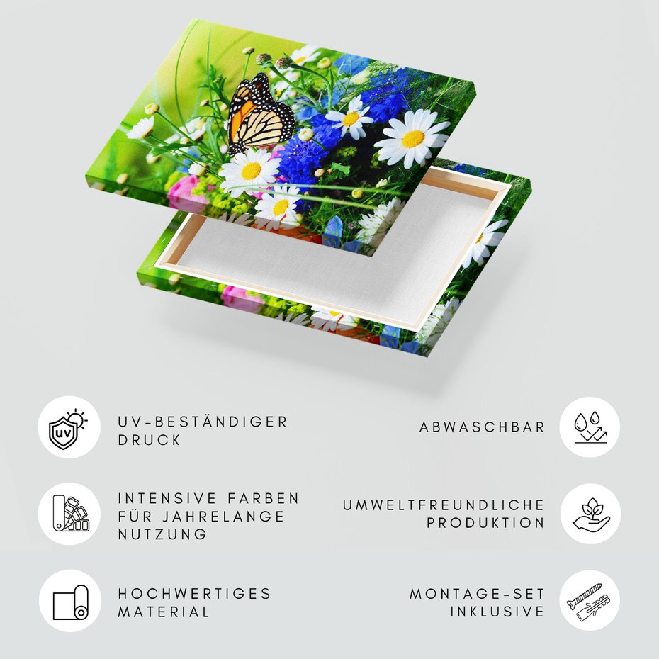 Obraz na płótnie - motyl, kwiaty, natura