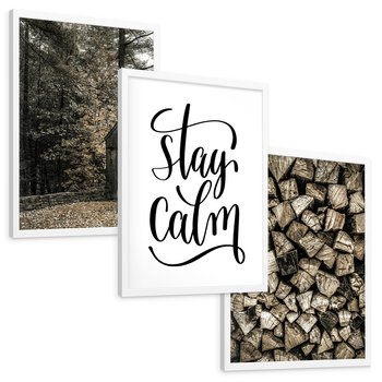 Zestaw obrazy w ramie, plakaty - drewno,domek,las - rama biała