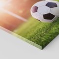 Obraz na płótnie - piłka, trawa, sport