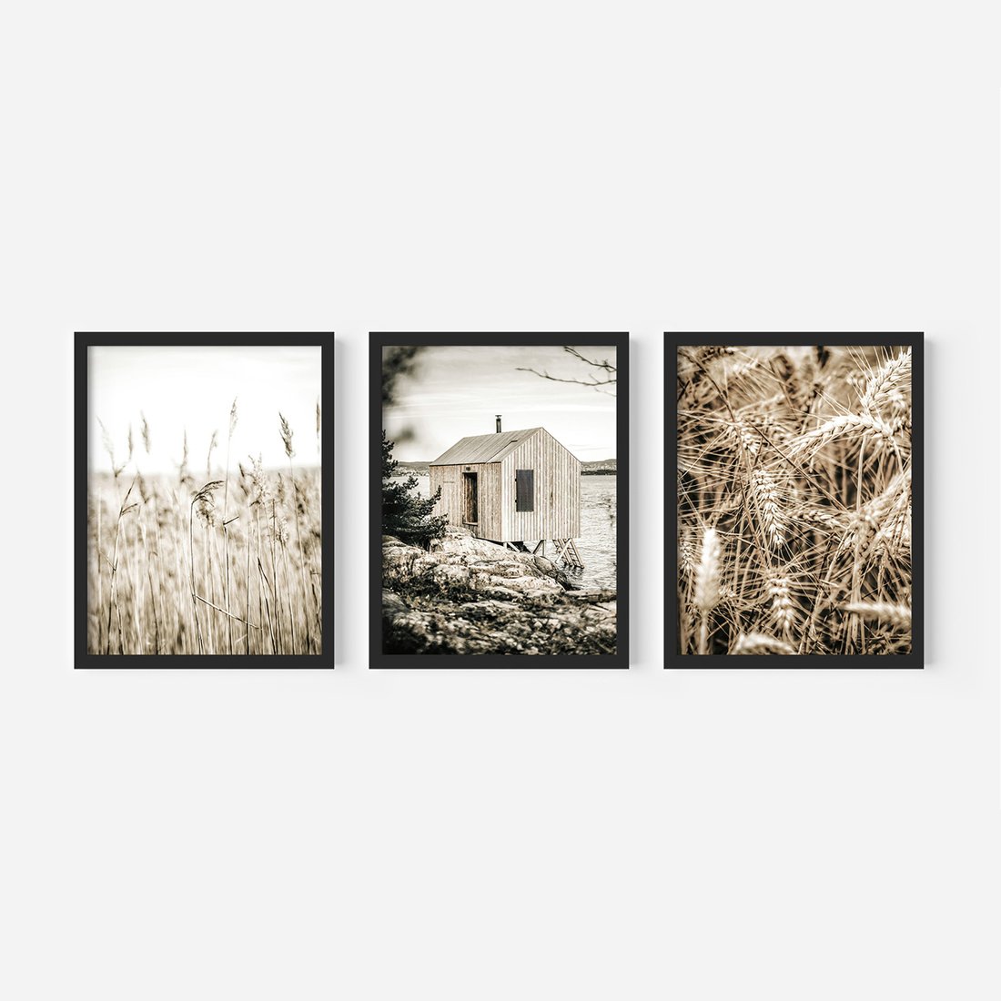 Zestaw obrazy w ramie, plakaty - natura, dom, rośliny - rama czarna