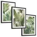 Zestaw obrazy w ramie, plakaty - liście, tropikalny, rośliny - rama czarna