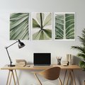 Zestaw obrazy w ramie, plakaty - liście, tropikalne, zielone - rama biała