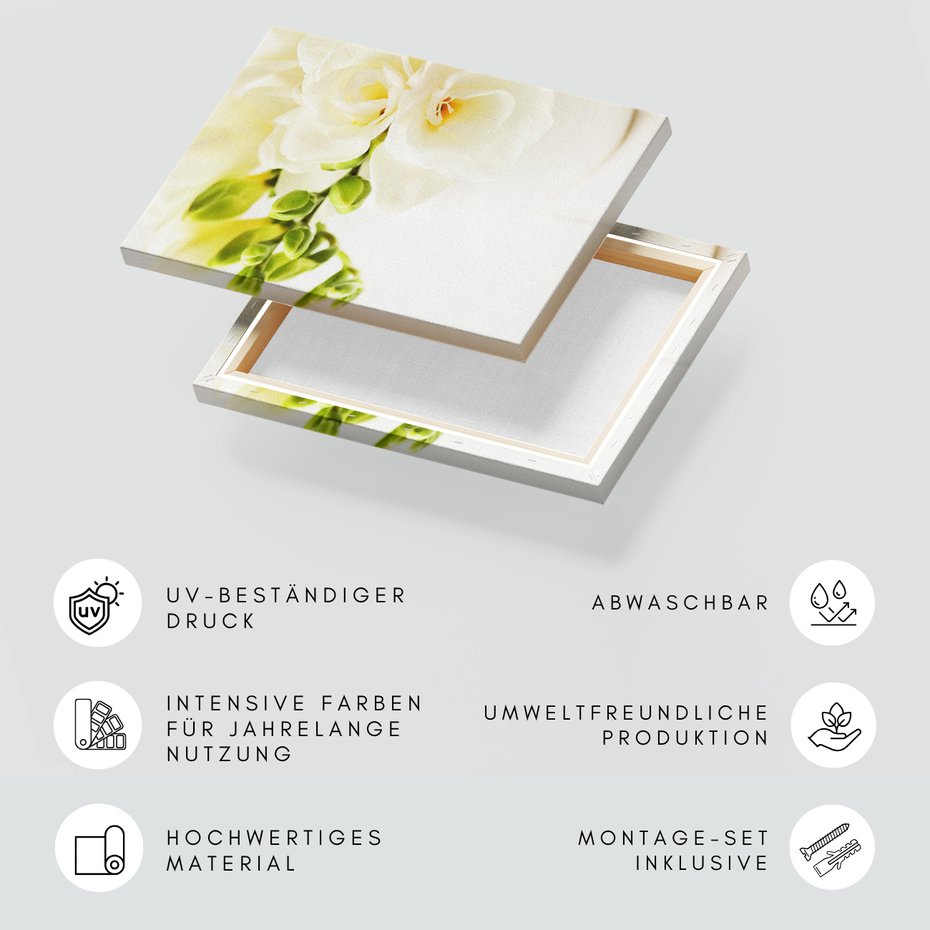 Obraz na płótnie - kwiaty, frezje, białe