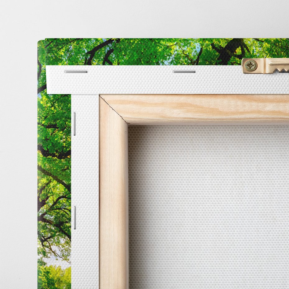 Obraz na płótnie - drzewo, słońce, natura