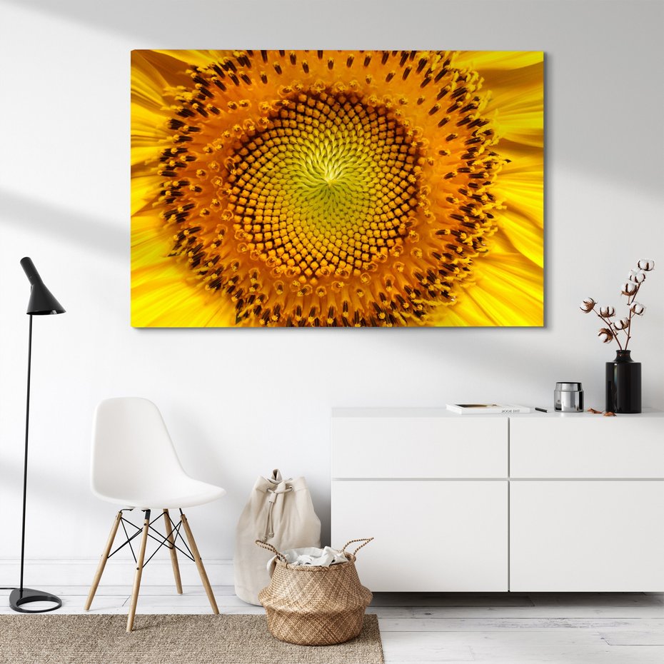 Obraz na płótnie - słonecznik, kwiat, zbliżenie