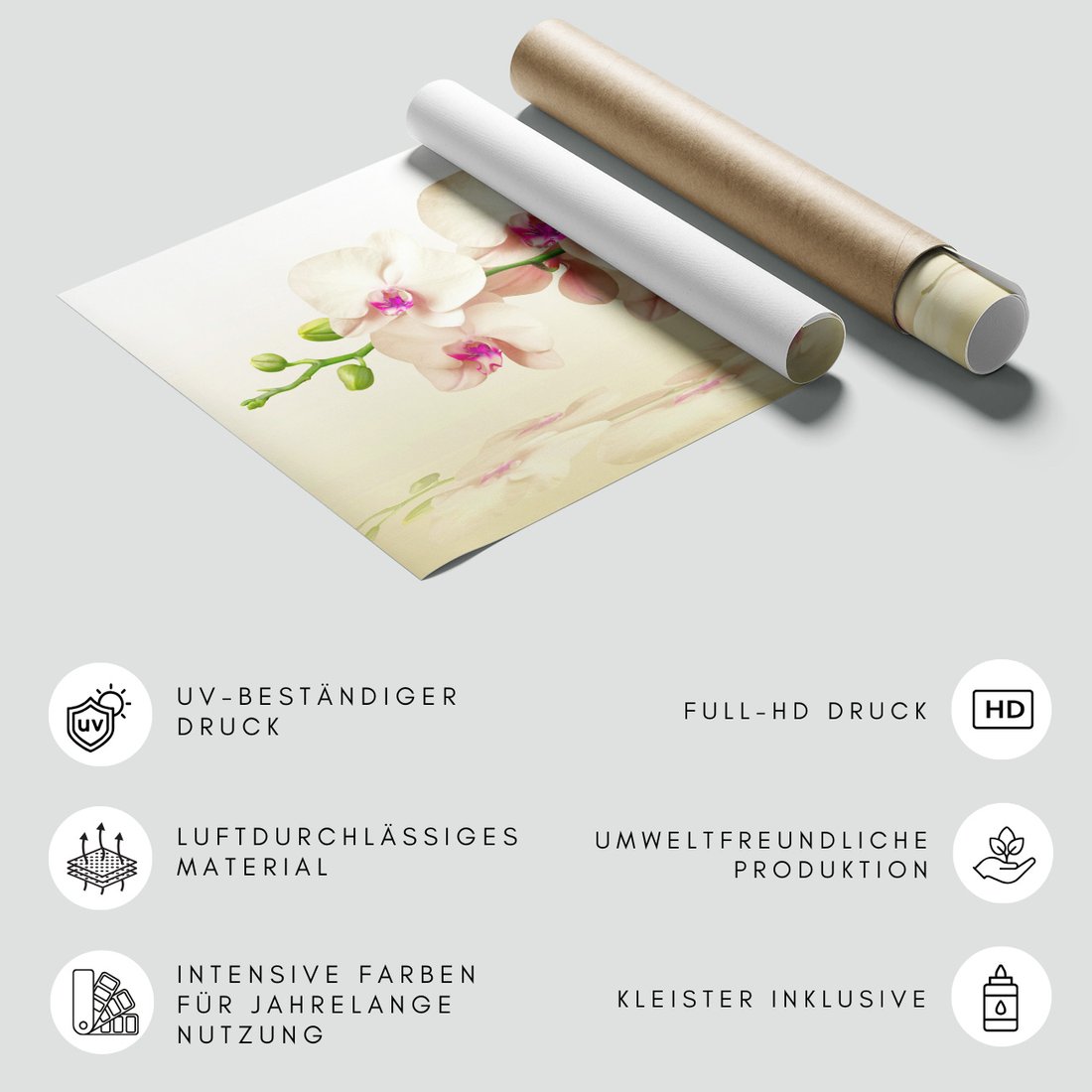 Fototapeta - orchidee, kwiaty, elegancja