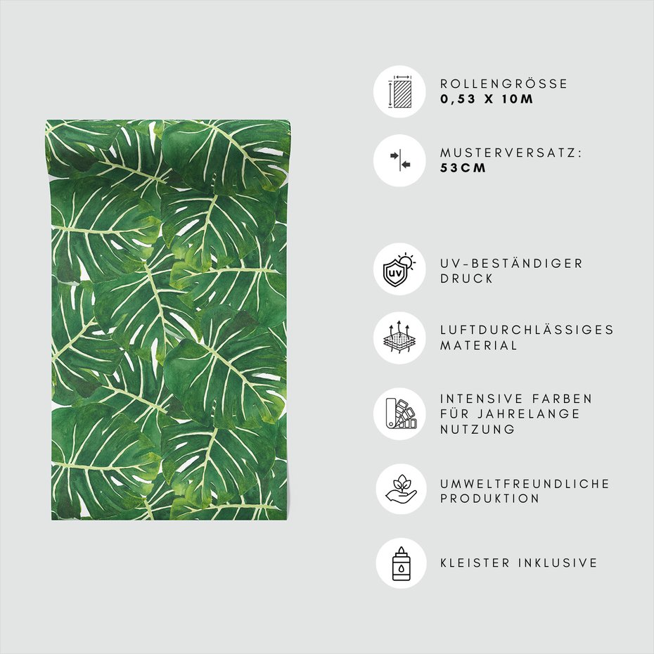 Tapeta - liście, monstera, natura