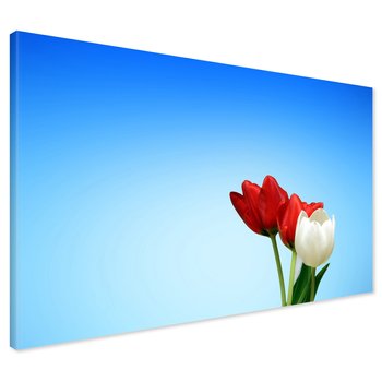 Obraz na płótnie - tulipany, kwiaty, niebo