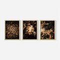Zestaw obrazy w ramie, plakaty - liście, jesień, brązowy - rama drewno