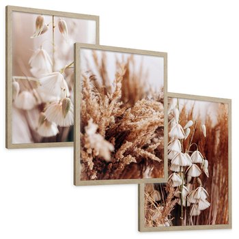 Zestaw obrazy w ramie, plakaty - kwiaty, trawa, pampasowa - rama drewno