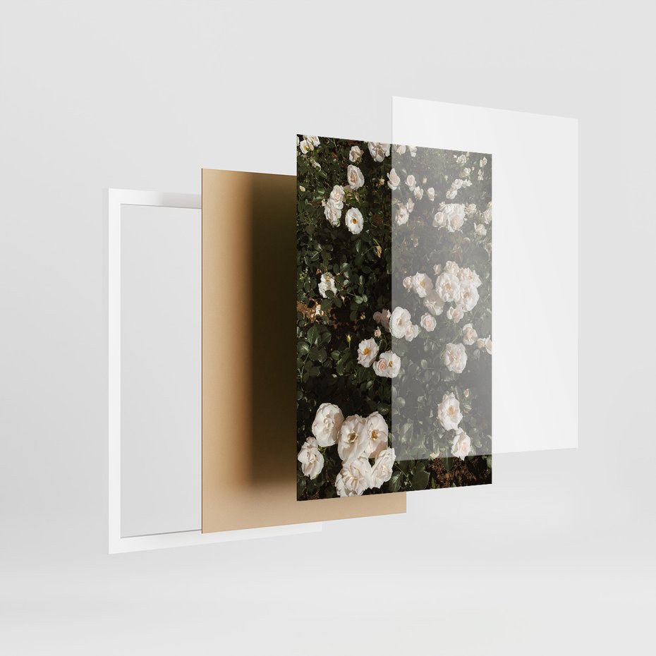 Zestaw obrazy w ramie, plakaty - kwiaty, rośliny, natura - rama biała